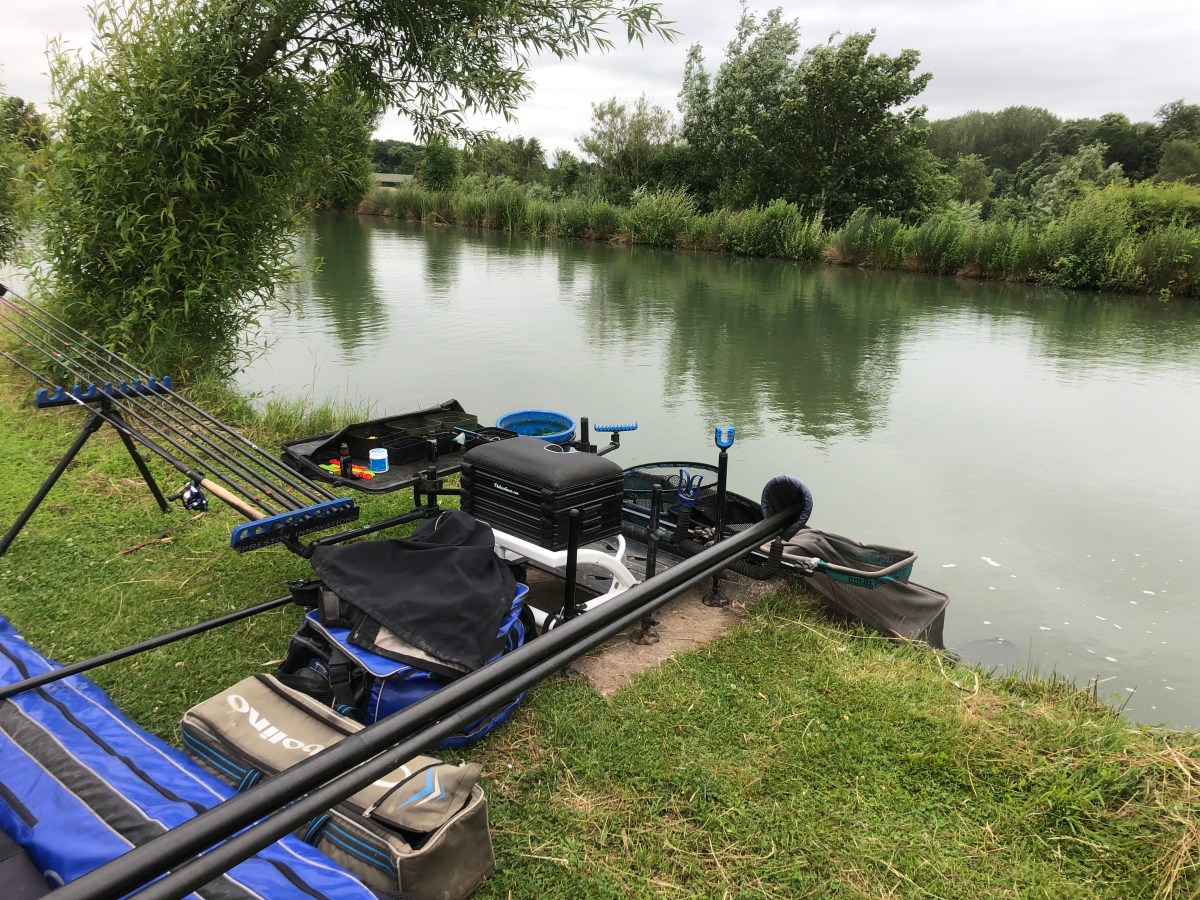 Woodland View open, Hay pool peg 6 – 51lb 2nd in section.