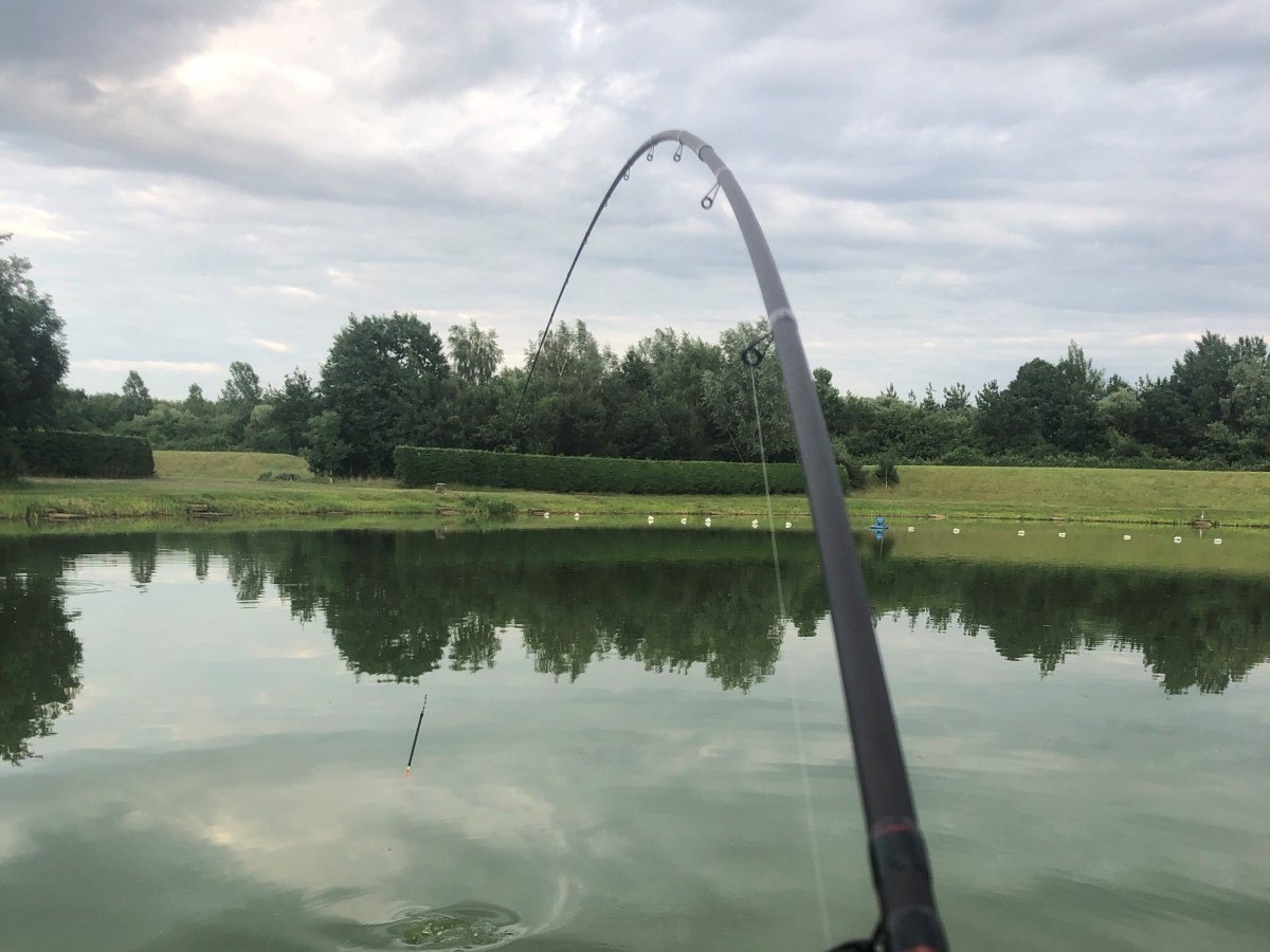 Summer evening pleasure fishing the Traditional Waggler for large carp with pellets.